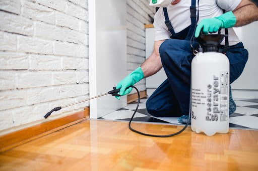 Professional termite treatment services in delhi