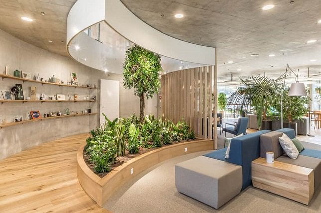Biophilia Interior Design