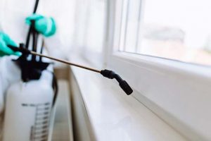 pest control